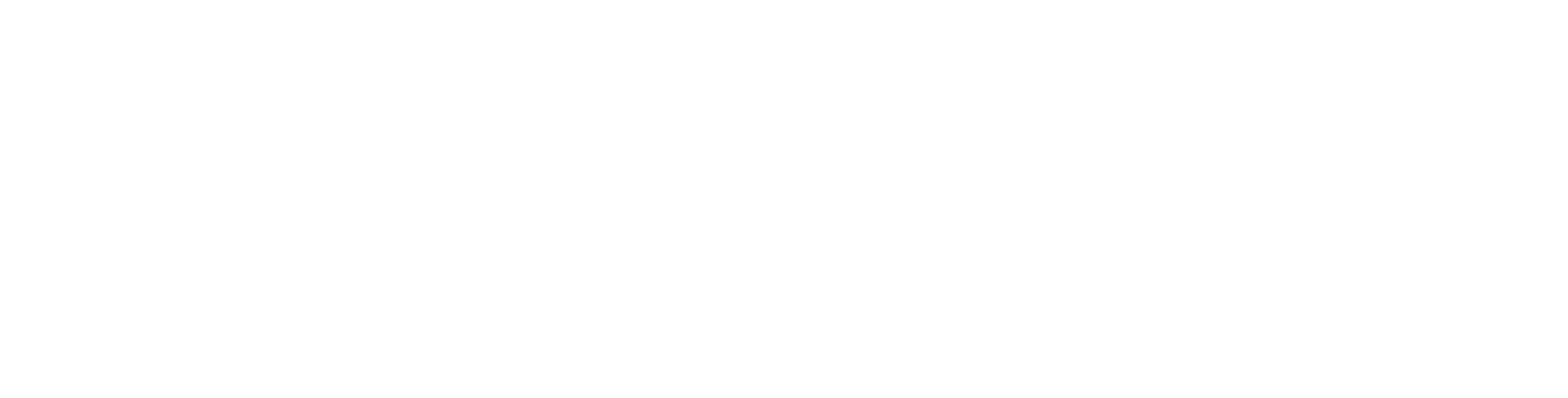 4th LNP Characterization & Analytical Development Summit transparent logo