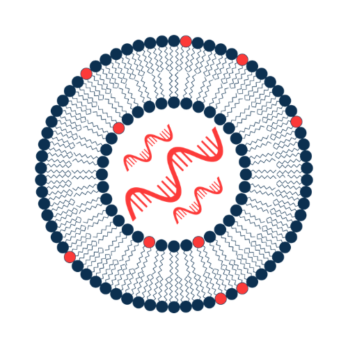 5th LNP Formulation & Process Development Summit Logo