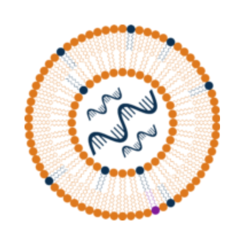 5th Lipid Nanoparticles Development Summit Europe Logo