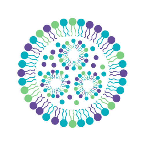5th Extra-Hepatic Lipid-Based Nanoparticles Logo